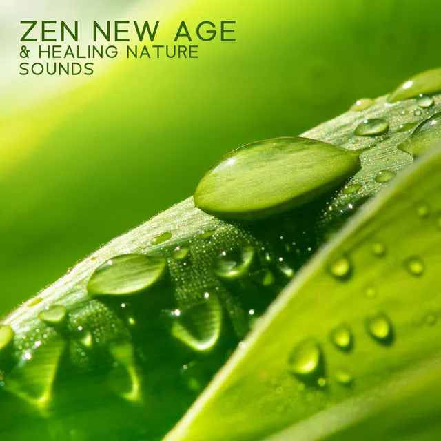 Zen New Age & Healing Nature Sounds: Relaxation Therapy Music for Massage, Spa, Meditation, Reiki, Yoga, Sleep and Study