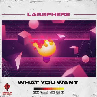 Labsphere What You Want by Labsphere