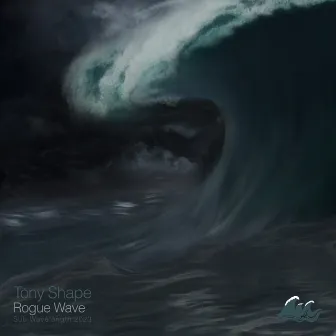 Rogue Wave by Tony Shape