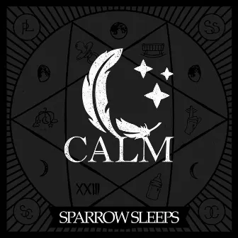 Calm: Lullaby renditions of Bayside songs by Sparrow Sleeps