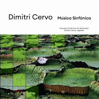 Música Sinfônica by Dimitri Cervo