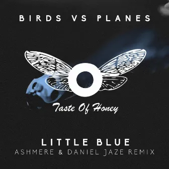 Little Blue by Birds Vs Planes