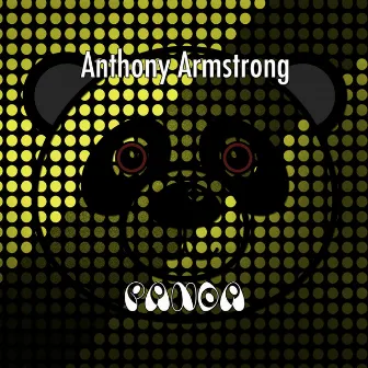 Panda by Anthony Armstrong