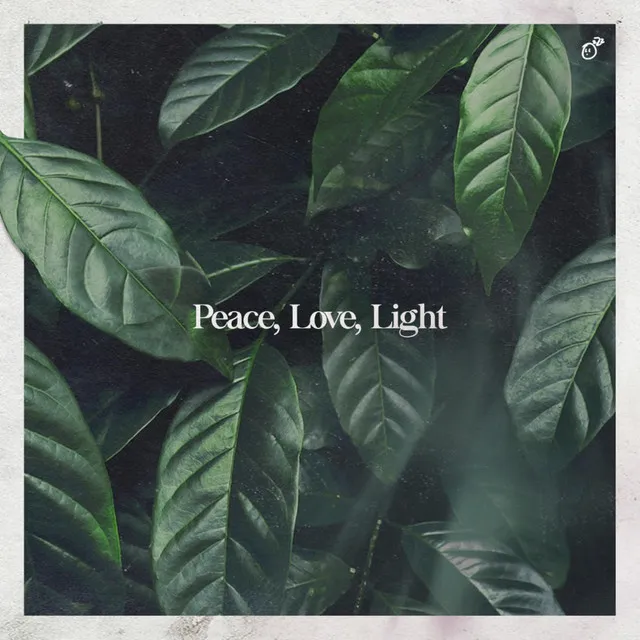 Peace, Love, Light.