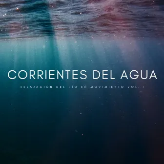 Corrientes Del Agua: Relajación Del Río En Movimiento Vol. 1 by Sonidos de agua y río