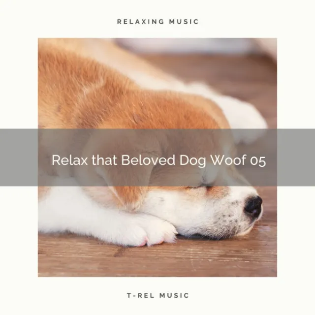 Relax that Beloved Dog Woof 05