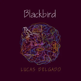 Blackbird by Lucas Delgado