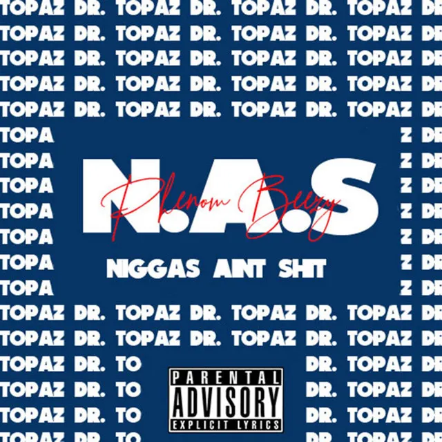 N.A.S (Niggas Ain't Shit)