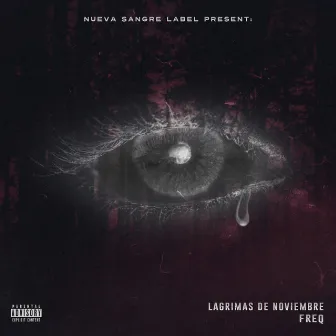 Lagrimas de Noviembre by Freq GM