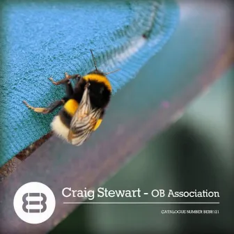 OB Association by Craig Stewart