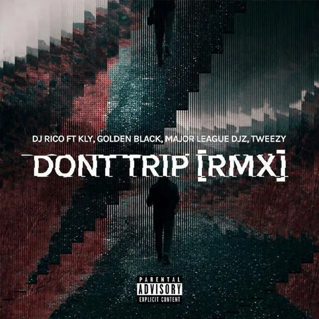 Don't Trip - Remix