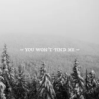 You Won't Find Me by Narrow Skies