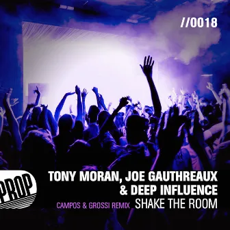 Shake the Room (Campos & Grossi Remix) by Andre Grossi