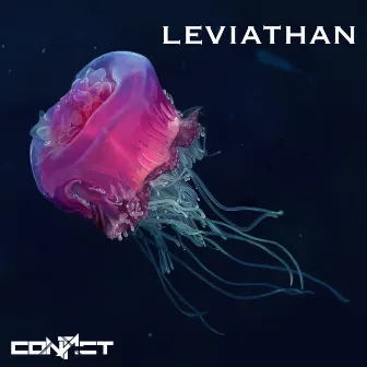 Leviathan by Contact