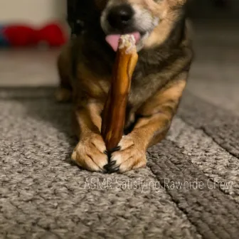 ASMR Satisfying Rawhide Chew by ASMR Art of Sound