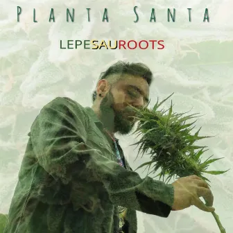 Planta Santa by Lepesauroots