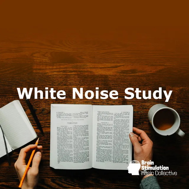 White Noise Study