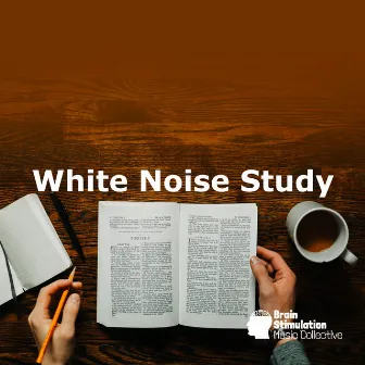 White Noise Study by Brain Stimulation Music Collective