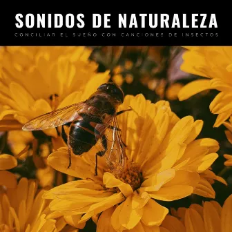 Sonidos De Naturaleza: Conciliar El Sueño Con Canciones De Insectos by Ruido soñoliento