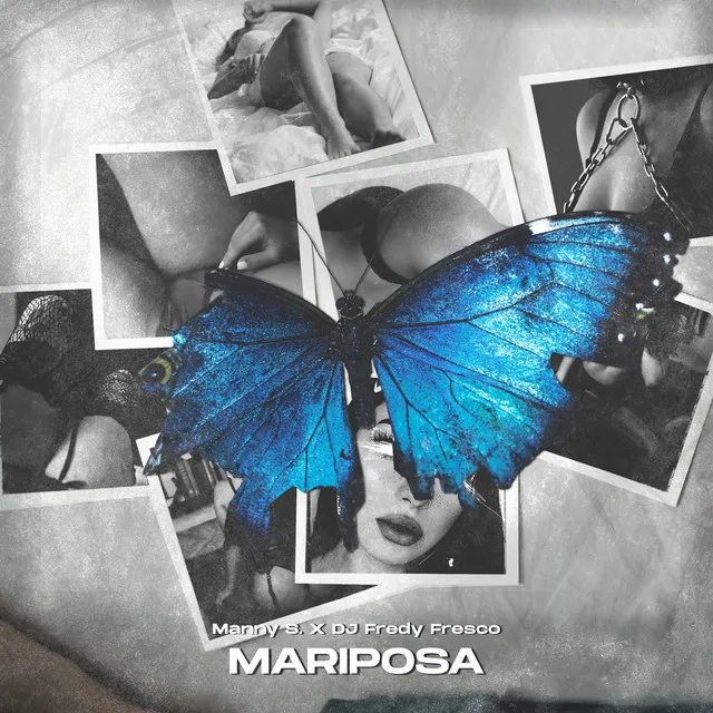 Mariposa