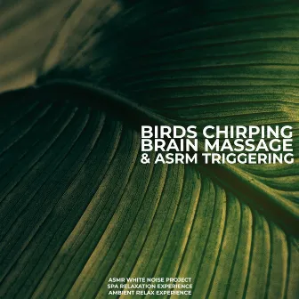 Birds Chirping Brain Massage & ASMR Triggering by SPA Relaxation Experience