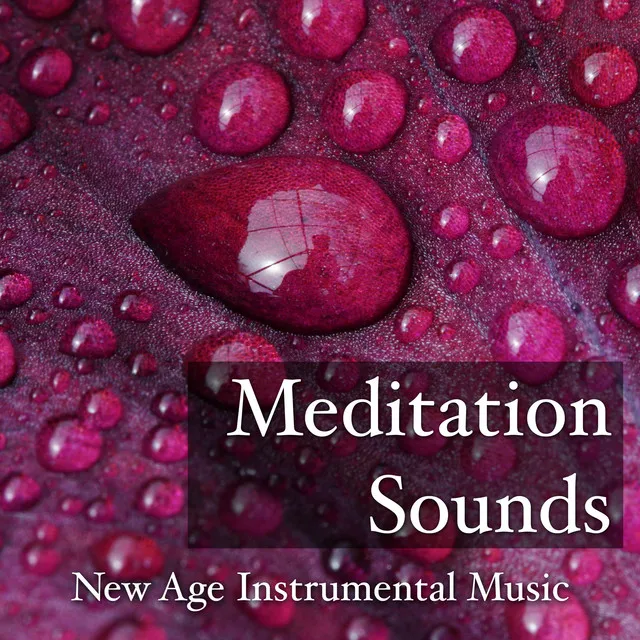 Meditation Sounds: New Age Instrumental Music