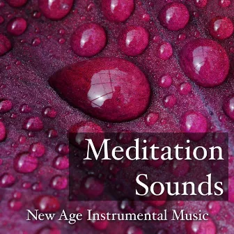 Meditation Sounds: New Age Instrumental Music by Relaxing Music House