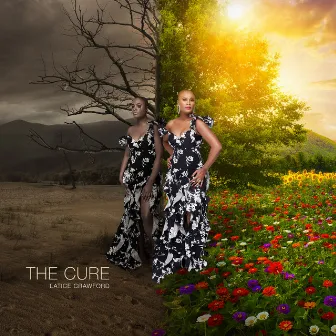 The Cure by Latice Crawford