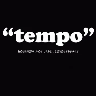 Tempo by DV Tribo