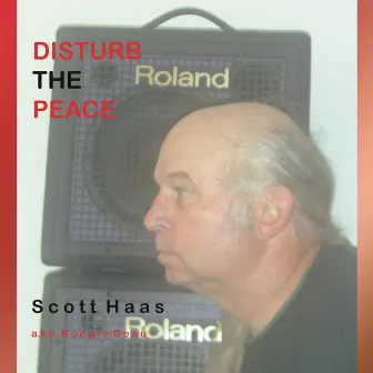 Disturb the Peace by Scott Haas