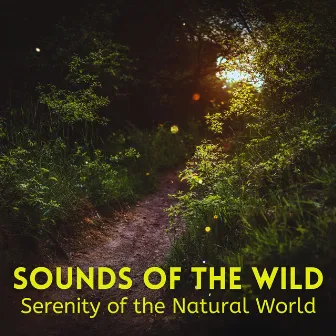 Sounds of the Wild: Serenity of the Natural World by Nature Touch