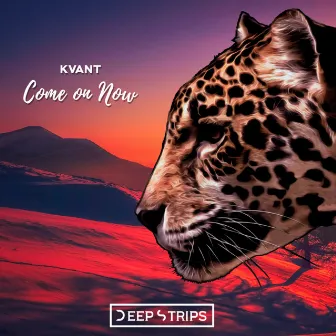 Come On Now by Kvant