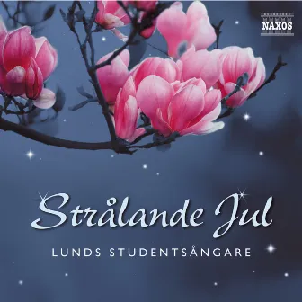 Strålande jul by Lunds Studentsångare