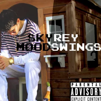 Mood Swings by Skyrey