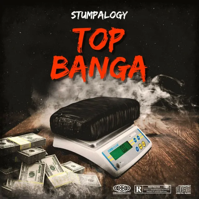 TOP BANGA