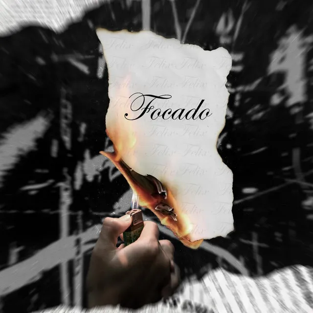 Focado