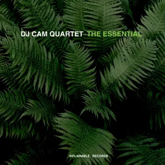 The Essential by DJ Cam Quartet