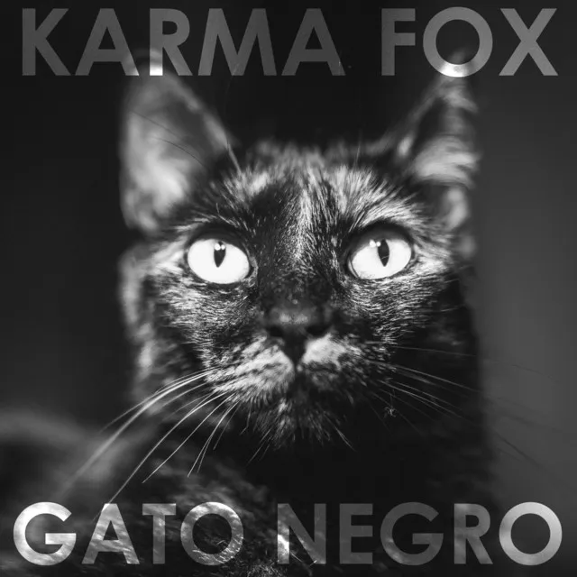 Gato Negro