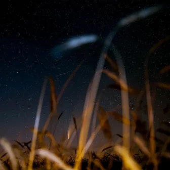 The Dreamer's White Noise by Ozeanus