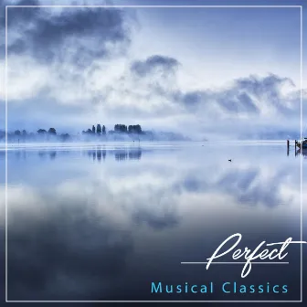 #19 Perfect Musical Classics for Relaxation, Yoga and Massage by Yoga Music Guru