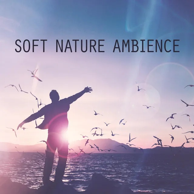 Soft Nature Ambience (Calming Rain, Warm Library Feelings, Relaxing Train And Wind Sounds)