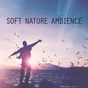 Soft Nature Ambience (Calming Rain, Warm Library Feelings, Relaxing Train And Wind Sounds) by Birds From Nowhere