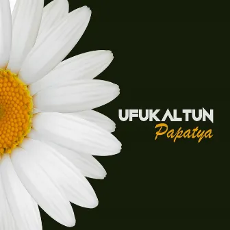 Papatya by Ufuk Altun