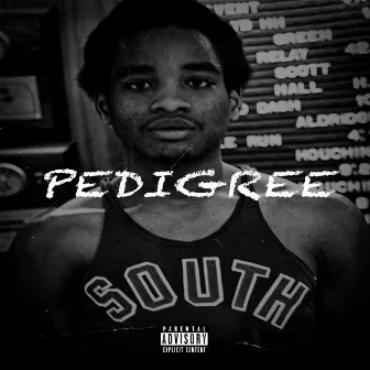 Pedigree by Scooney