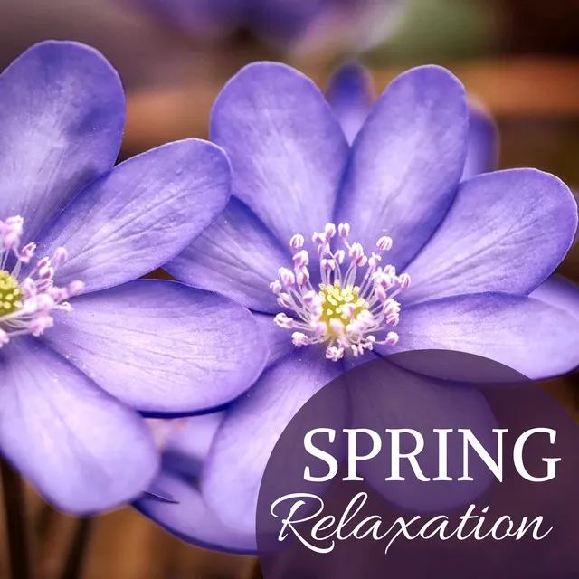 Spring Relaxation - Harp & Chirping Birds for Welcoming a New Season, Zen Music