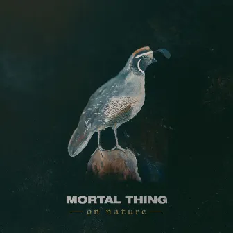 On Nature by Mortal Thing