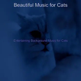 Entertaining Background Music for Cats by Beautiful Music for Cats