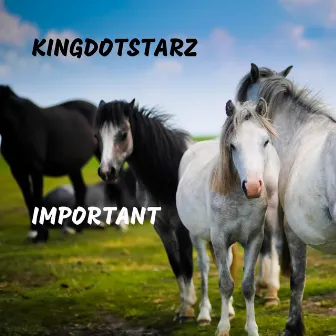 Important by KingDotStarz