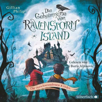 Die Geheimnisse von Ravenstorm Island 1: Die verschwundenen Kinder by Boris Aljinovic