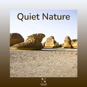 Focusing on a single point by Quiet Nature